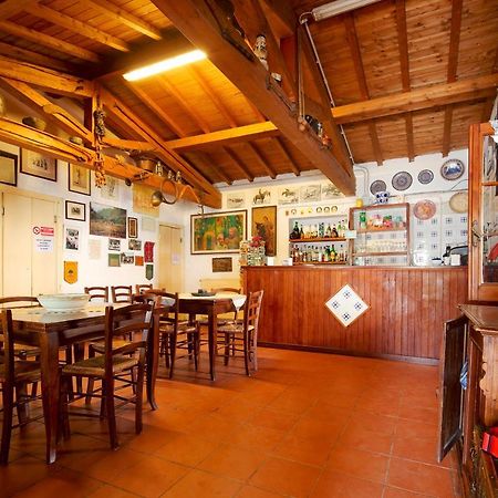 La Dimora Degli Etruschi Hostel Civitella Cesi Ngoại thất bức ảnh