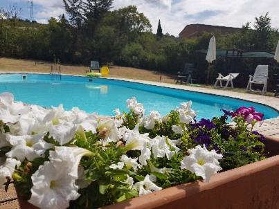La Dimora Degli Etruschi Hostel Civitella Cesi Ngoại thất bức ảnh